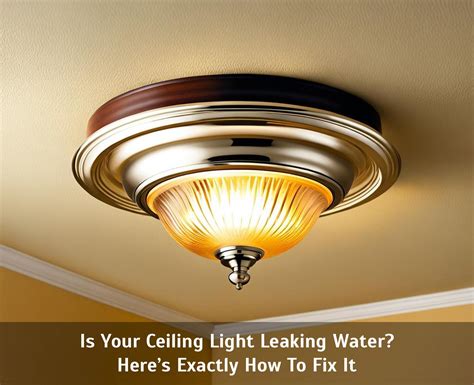 water leaking from light fixture|What to do if water leaks through a light fitting